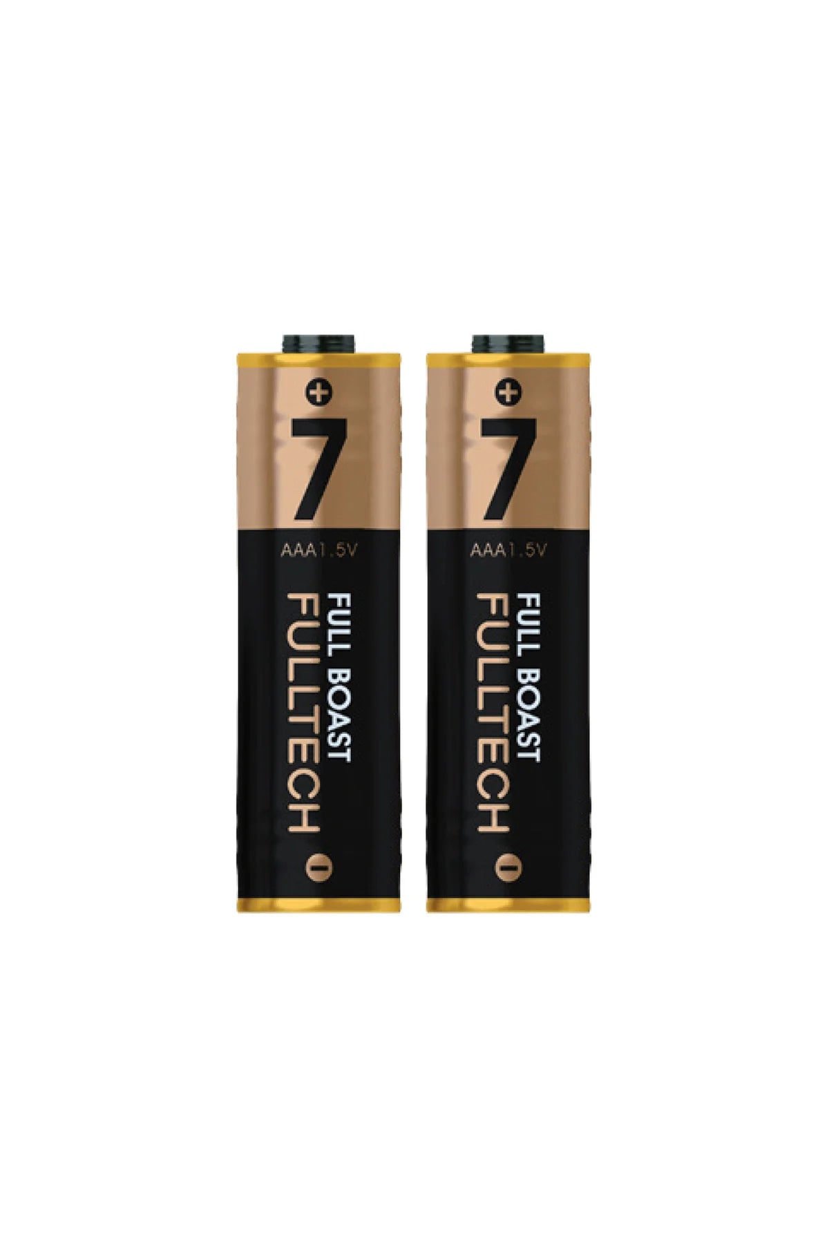 FP29 AAA Şarjlı Pil 2’li Set 800mWh 1.5V Type-C Şarjlı Lityum Pil Uzun Ömürlü Hızlı Şarj Ed