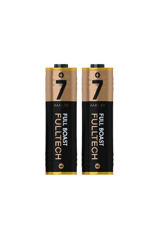 FP29 AAA Şarjlı Pil 2’li Set 800mWh 1.5V Type-C Şarjlı Lityum Pil Uzun Ömürlü Hızlı Şarj Ed